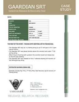 Gaardian SRT Case Study pdf
